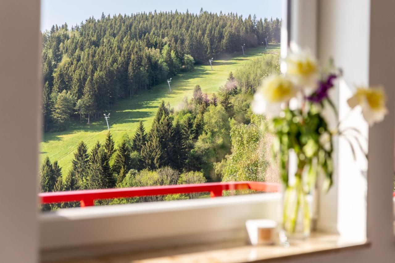 Apartmany Nad Slikovkou Jáchymov Eksteriør bilde